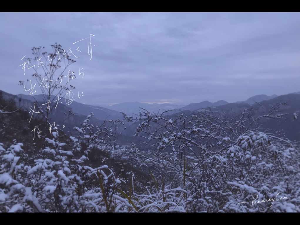闯红灯？交警：安排！